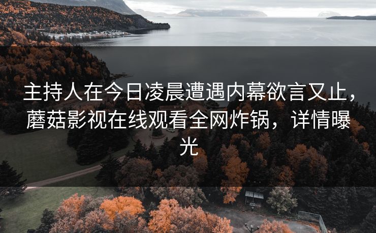主持人在今日凌晨遭遇内幕欲言又止，蘑菇影视在线观看全网炸锅，详情曝光