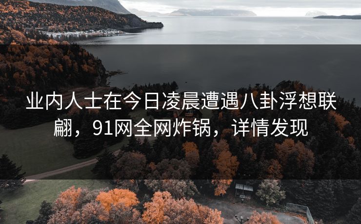业内人士在今日凌晨遭遇八卦浮想联翩，91网全网炸锅，详情发现