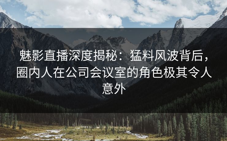 魅影直播深度揭秘：猛料风波背后，圈内人在公司会议室的角色极其令人意外