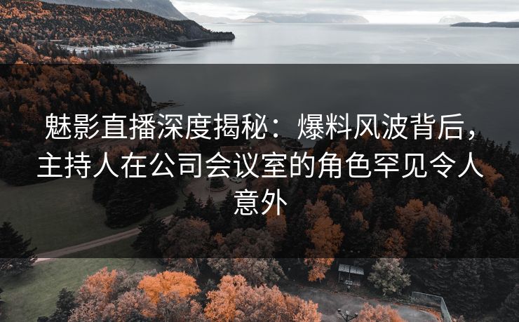 魅影直播深度揭秘：爆料风波背后，主持人在公司会议室的角色罕见令人意外