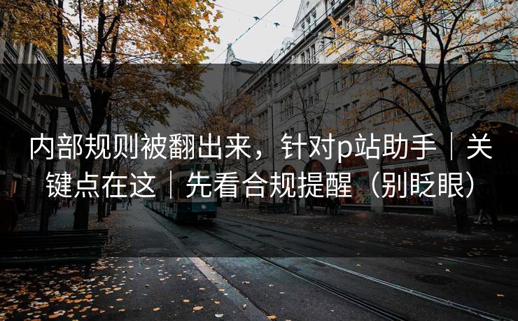 内部规则被翻出来，针对p站助手｜关键点在这｜先看合规提醒（别眨眼）